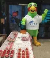 Thales selected by Cayman Islands Airports Authority to modernize and upgrade its air traffic control infrastructure