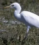 Thales selected by Cayman Islands Airports Authority to modernize and upgrade its air traffic control infrastructure