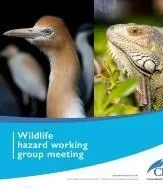 Thales selected by Cayman Islands Airports Authority to modernize and upgrade its air traffic control infrastructure